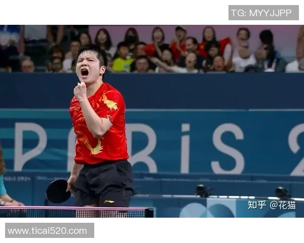 重庆乒乓球队进攻体系解析与战术创新探讨