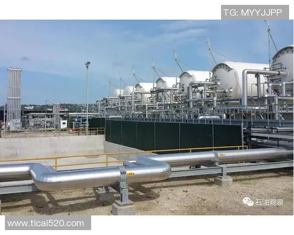 LNG的快速进攻策略解析与市场前景展望 LNG的快速进攻策略解析与市场前景展望