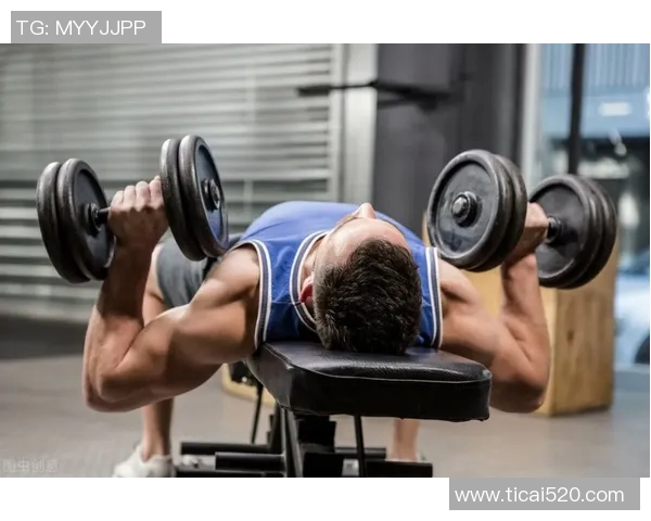 高拉力训练器如何有效提升背部与肩部肌肉力量的训练方法与技巧