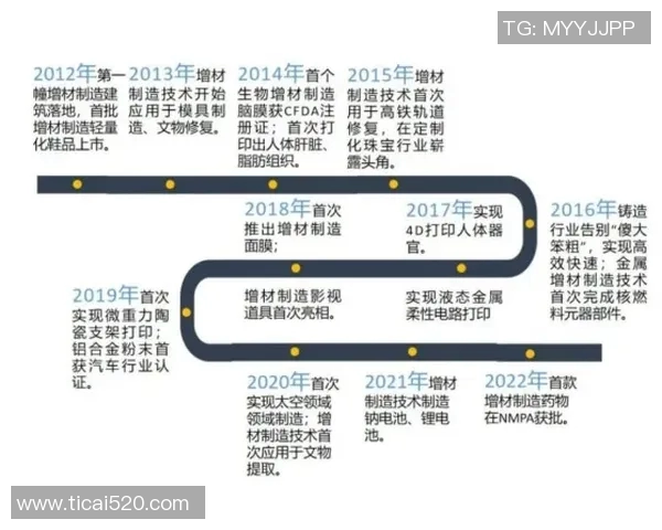 武汉攀岩队快攻战术分析与反思：得失之间的启示与展望